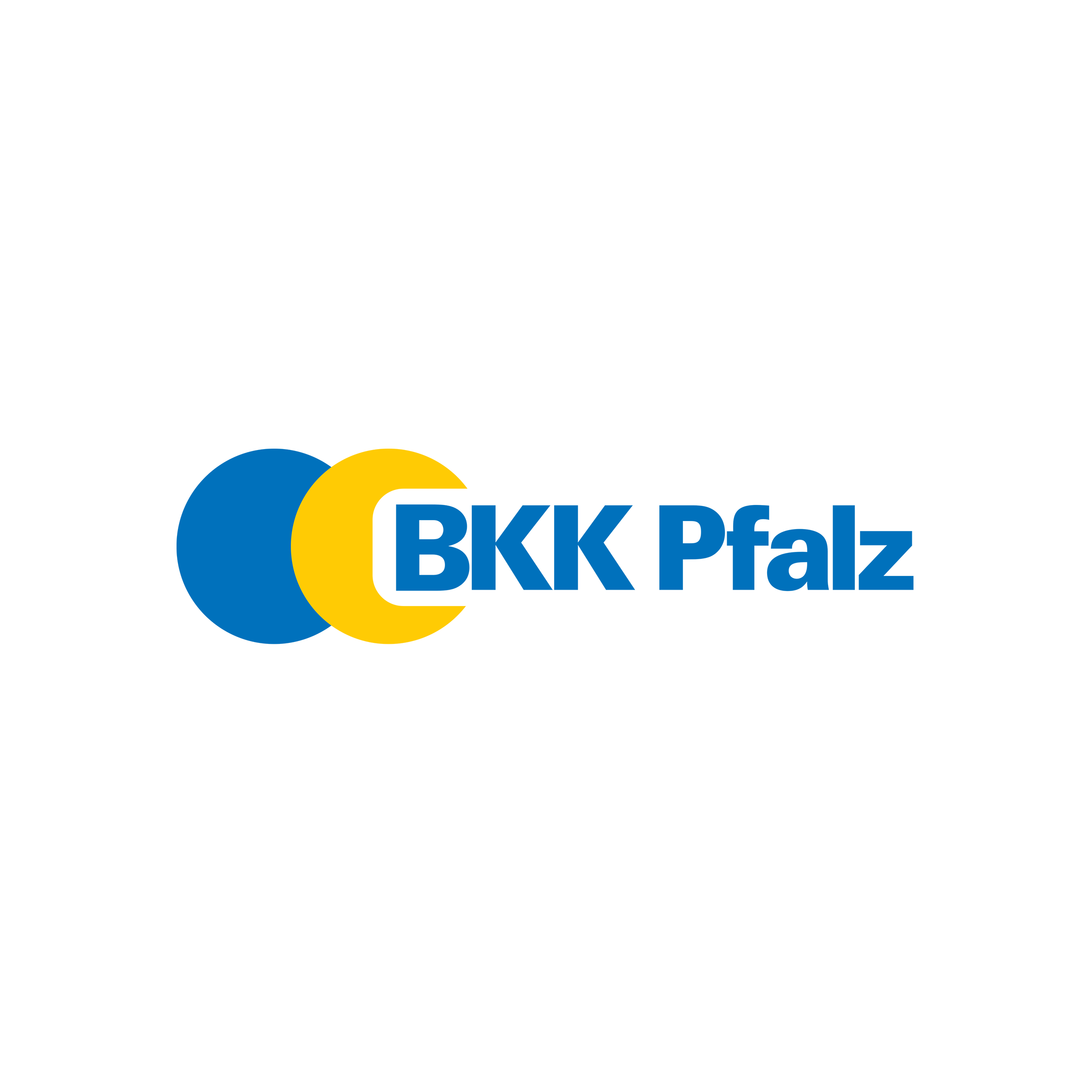 bkk pfalz website